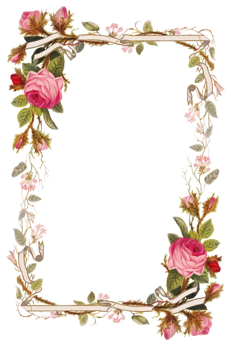 Foto rosas rosadas vintage png marco de borde ilustración remix de obras de arte por l prang co