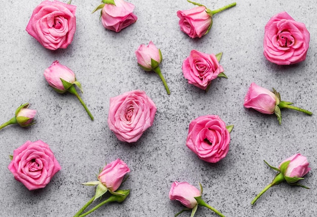 Rosas rosas em fundo de concreto com espaço de cópia