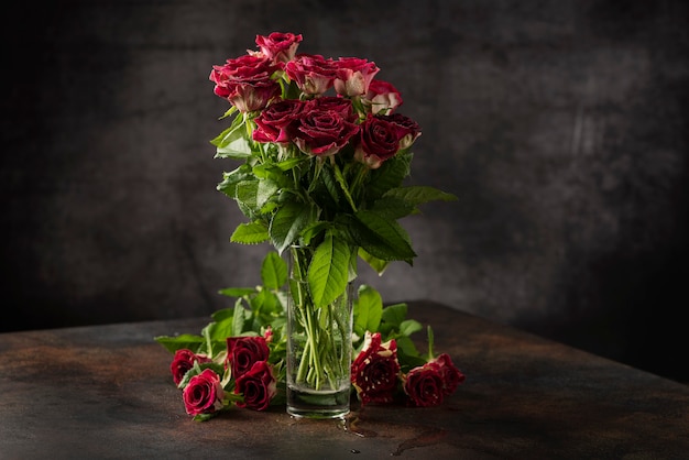 Rosas silvestres rojas sobre el fondo oscuro, imagen de enfoque selectivo