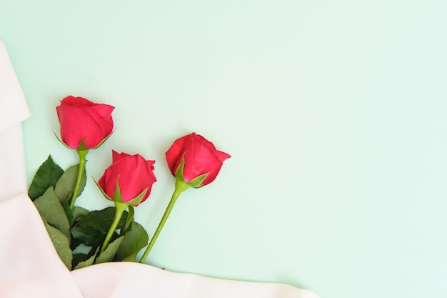 rosas sobre fondo azul