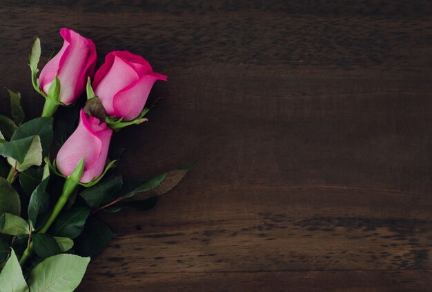 Rosas sobre fondo de madera oscura. Espacio para copiar. Vista superior.