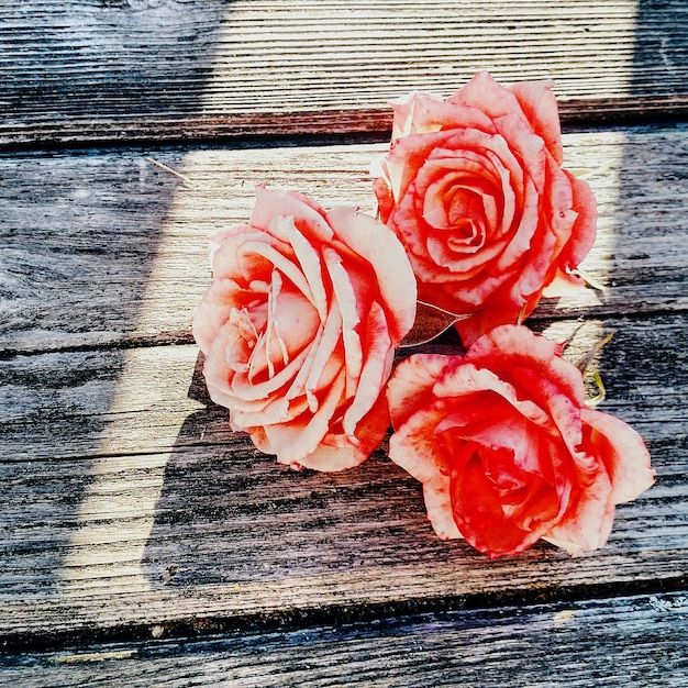 Rosas en una tabla de madera