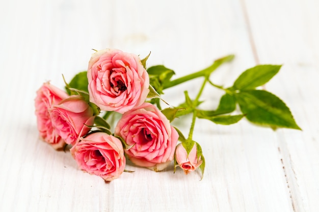 Rosas en tablones de madera blancos