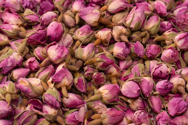 Rosas de té seco aislado sobre fondo blanco.