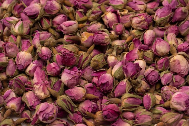 Rosas de té seco aislado sobre fondo blanco.