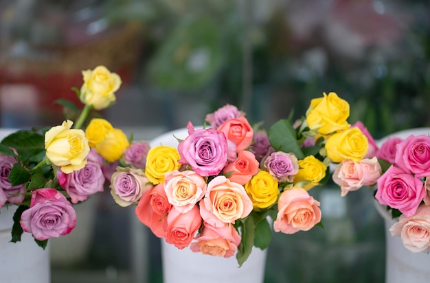 Rosas de varios colores en una floristería