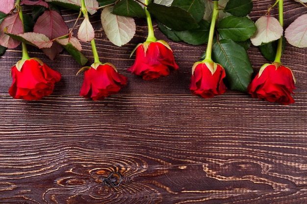 Rosas vermelhas em fundo de madeira. Flores e folhas. Rose como símbolo do amor. Sempre uma agradável surpresa.