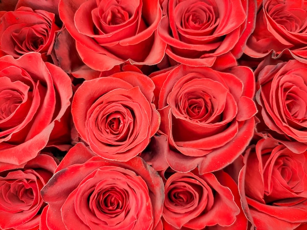 Rosas vermelhas fecham. Vendendo rosas na loja. Buquês para as férias. Aniversário, dia das mães, dia dos namorados, dia das mães.