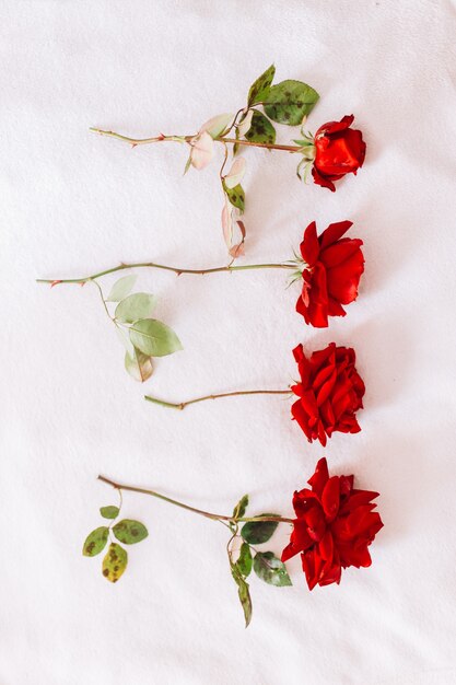 Foto rosas vermelhas naturais em uma haste longa com folhas verdes isoladas em um fundo branco de neve