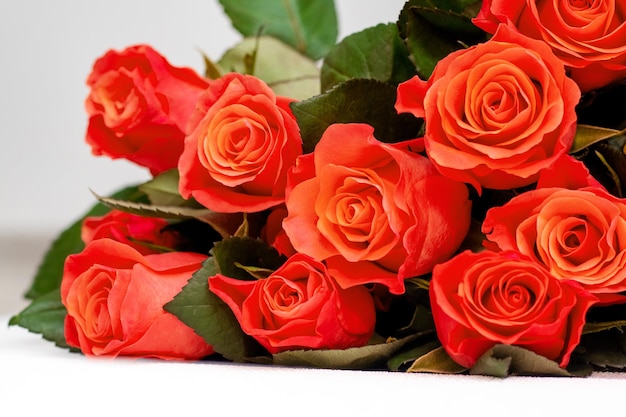 Rosas vermelhas Um buquê de rosas vermelhas para felicitar pelo feriado