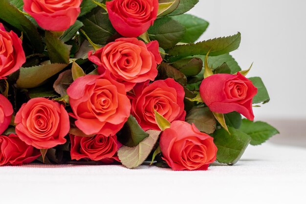 Rosas vermelhas Um buquê de rosas vermelhas para felicitar pelo feriado