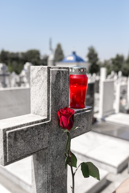 Rose auf einem Friedhof mit Grabstein