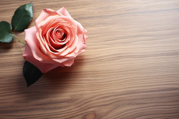 Rose auf einem Holztisch, Kopienraum, ästhetische Draufsicht