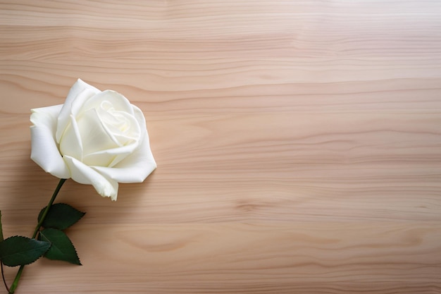 Rose auf einer Holztischoberfläche, Kopienraumästhetik