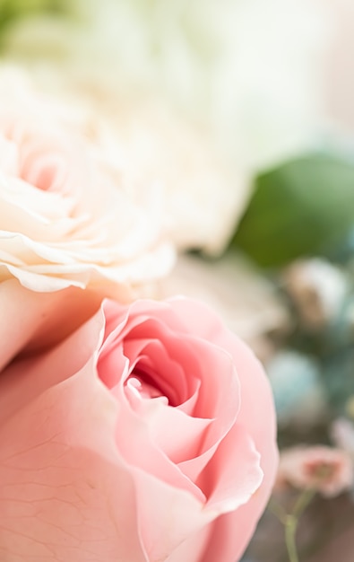 Rose Blume in einem Garten Blumenschönheit und botanischer Hintergrund für Hochzeitseinladung und Grußkarte Natur- und Umweltkonzept