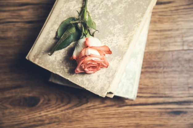 Rose en los libros sobre la mesa de madera