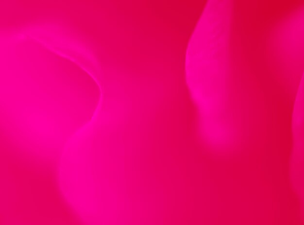 Rose, Nahaufnahme, Hintergrunddesign