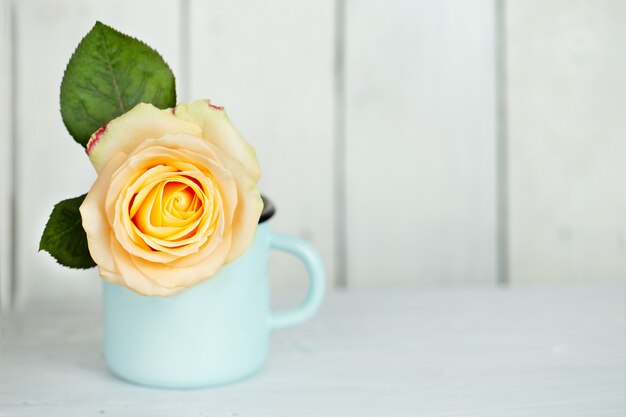 Rose - sola flor en florero sobre la mesa