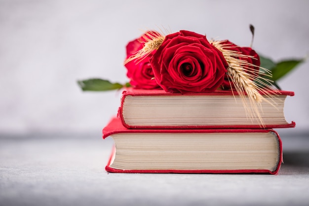 Rose und Buch, traditionelles Geschenk für Sant Jordi, den Saint Georges Day.