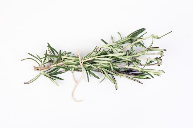 Rosemary Herb grüner duftender Zweig auf weißem Hintergrund