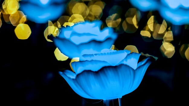 Rosen auf abstraktem Bokeh-Hintergrund für Liebe Valentinstag-Grußkarte