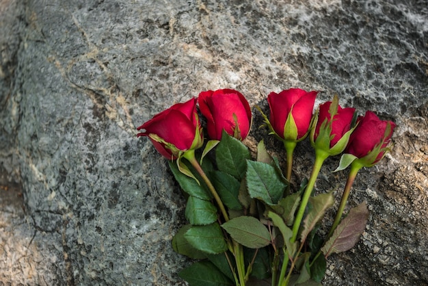 Rosen auf Stein. Hintergrund des Valentinstag Konzeptes und des Liebeskonzeptes. kopieren Sie Platz für Text.