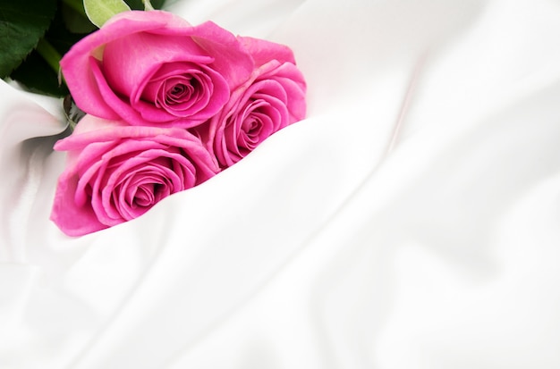 Rosen auf weißem silk Hintergrund