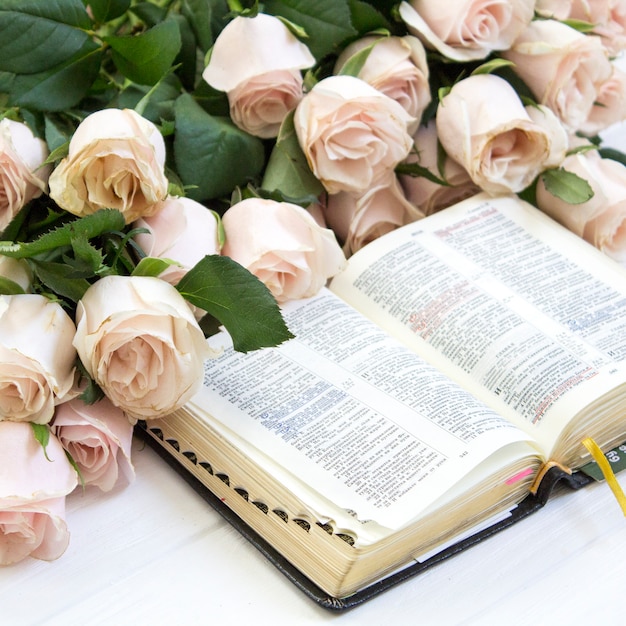 Rosen und die Bibel