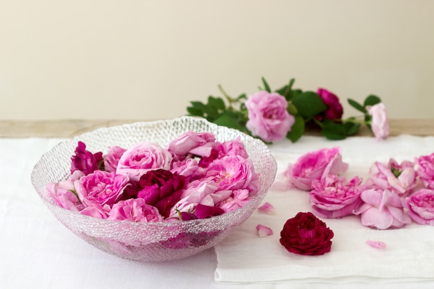 Rosen und Rosenblätter zur Herstellung von Rosen