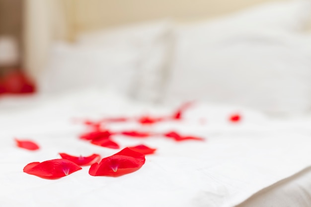 Rosenblätter auf dem Bett.