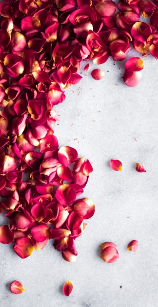 Rosenblüten auf Marmorhintergrund Blumendekor und Hochzeit Flatlay Urlaub Grußkarte Hintergrund für...