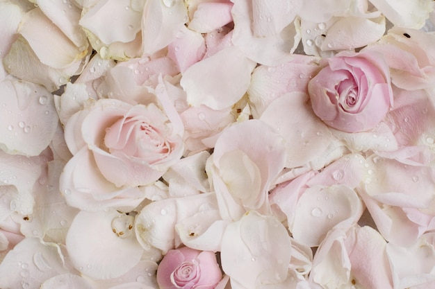 Rosenblütenblätter im Marmorhochzeitsurlaub und im Blumengarten gestaltetes Konzept