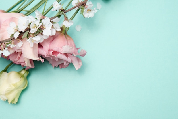 Rosenknospen auf farbigem Papierhintergrund. Frühlingsblumen. Platz für Text