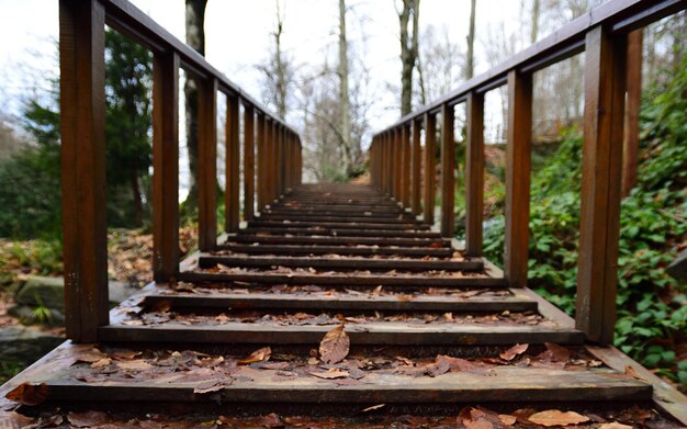 Foto rostige metallbrücke inmitten von bäumen im wald