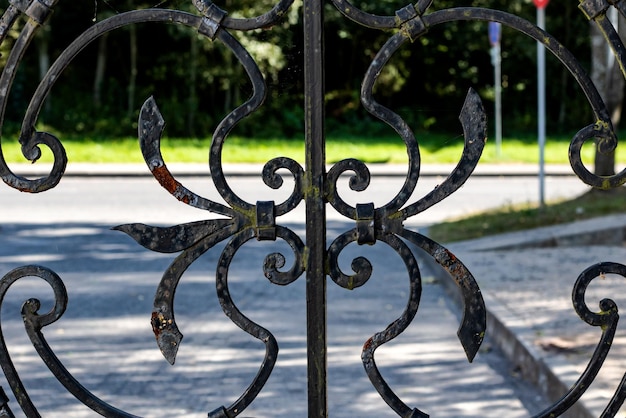 Rostiger geschmiedeter Metallzaun auf dem Hintergrund der Natur