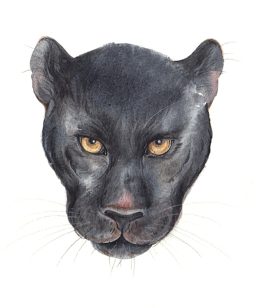Foto rosto de pantera negra em aquarela