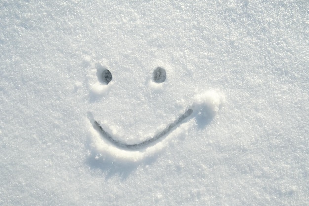 Rosto sorridente bonito contente desenhado na neve