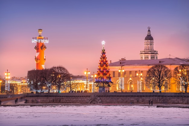 Rostralsäule, Fichte und Kunstkamera in der Nähe der Börse in St. Petersburg in einer Fliederwinternacht