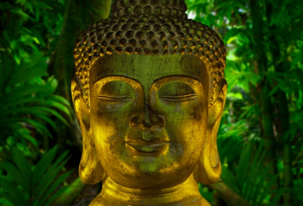 rostro de buda en el templo