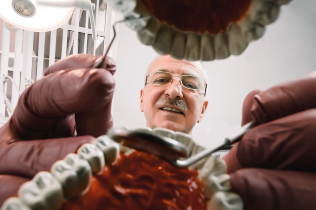 Foto rostro de dentista masculino concentrado senior sentado en la mesa y sosteniendo herramientas dentales en las manos y haciendo un tratamiento de imitación en muestras de mandíbula modelo de diente en consultorio dental, vista desde el interior de las mandíbulas