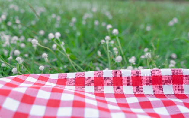 Rot karierte Tischdecke Textur mit auf grünem Gras im Garten