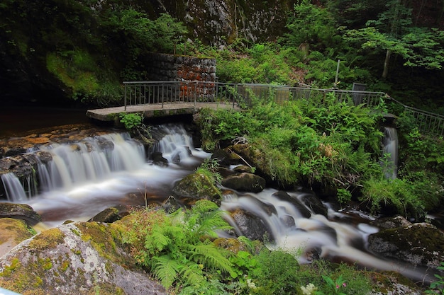 Rota das cachoeiras mais altas da Alemanha, Baden, Triberg.