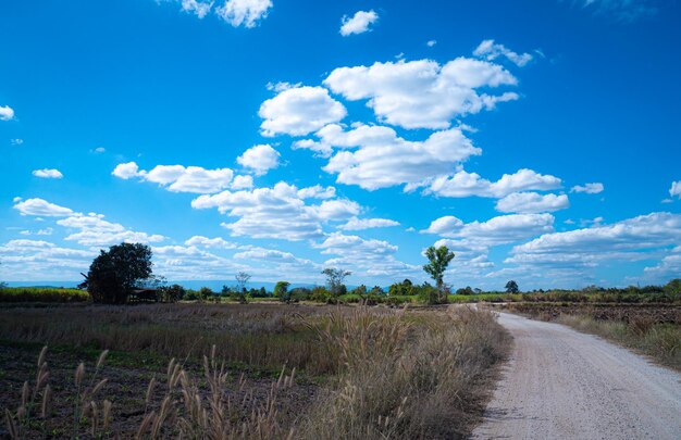 Foto rotas ou estradas de terra em áreas rurais da tailândia para viajar para ir à agricultura jardinagem ou agricultura campos na estação seca céu azul brilhante e nuvens brancas