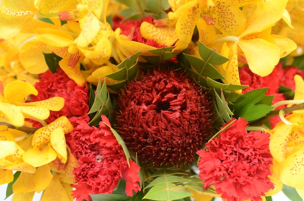 Rote Banksia Blumenanordnung