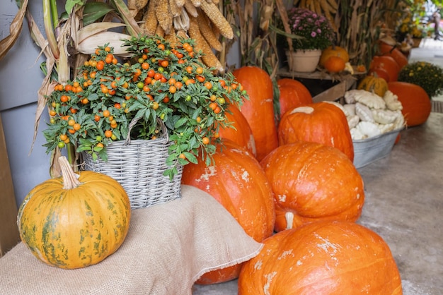 Rote Beeren der Kürbise und Herbstblumendekoration in den Körben