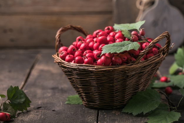 Rote Beeren des frischen Weißdorns im Korb, der auf einem Holztisch steht