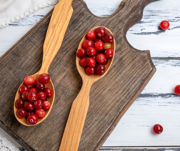 Rote Beeren von reifen Preiselbeeren