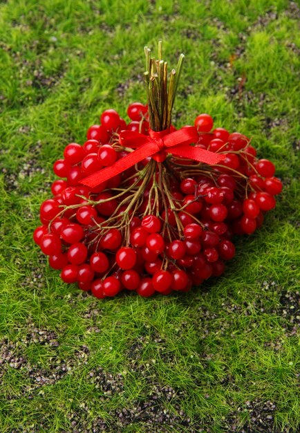 Rote Beeren von Viburnum auf grüner Grasoberfläche