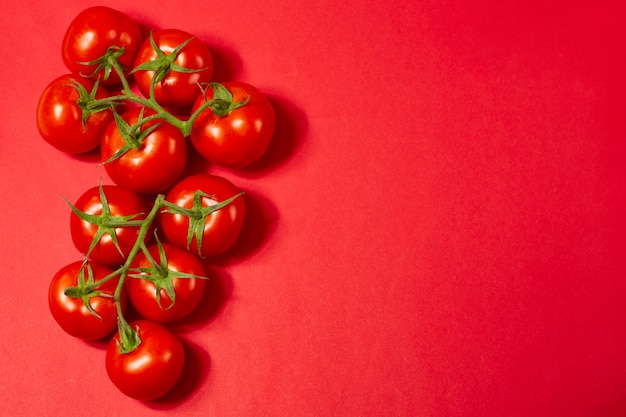 Rote Bio-Tomaten auf grünem Ast auf rotem Grund