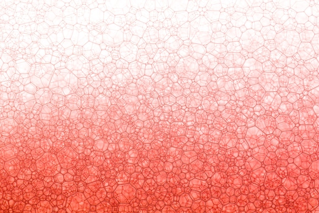 Rote Blasen abstraktHintergründe Blase Speiseöl abstrakte Hintergründe